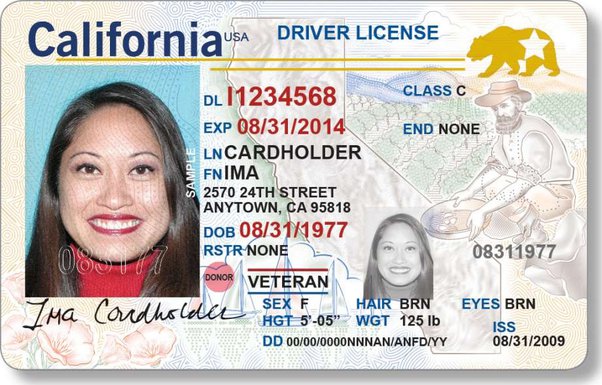 Buy California Drivers license