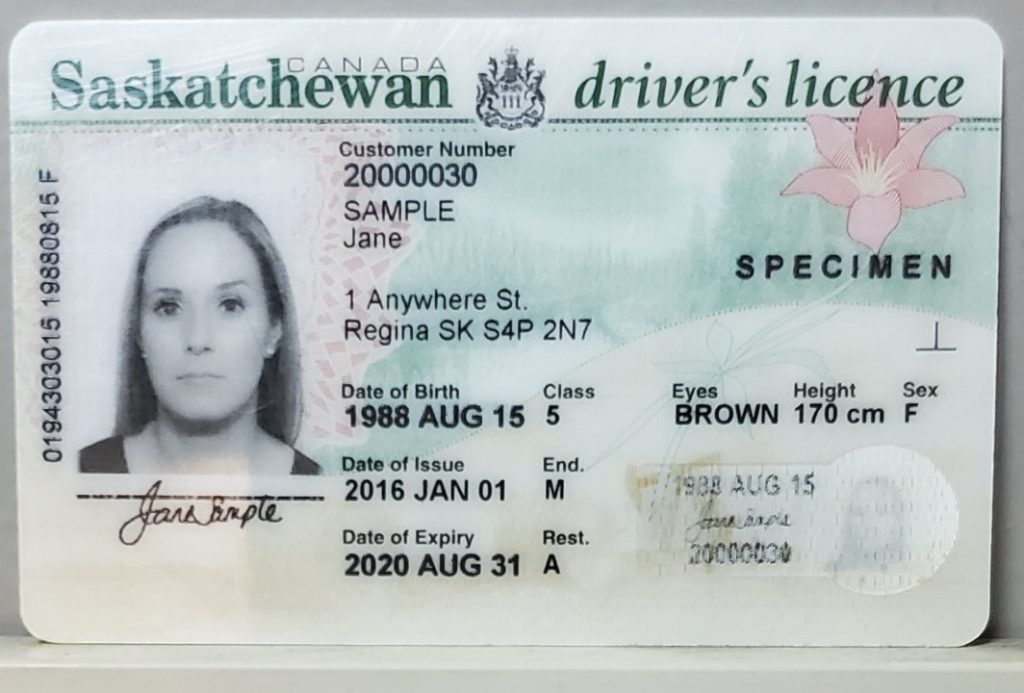 Comprar permiso de conducir de Saskatchewan