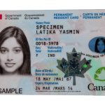 Purchase a legitimate driver's license from the EU, UK, Canada, or the United States. Purchase European drivers licenses, acquire residence permits, obtain passports and ID cards, including diplomatic passports. We offer a range of options such as German driver's licenses, Dutch ID cards, and UK licenses. Purchase a driving license, obtain a European driving license, acquire an international driving licence, regain your revoked licence. Purchase a boat license and acquire a hunting license, ship license and more.