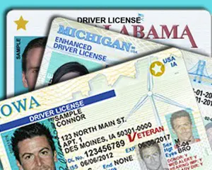 REAL-ID-and-Enhanced-Driver-License