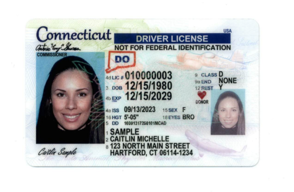 Buy Connecticut Driver License