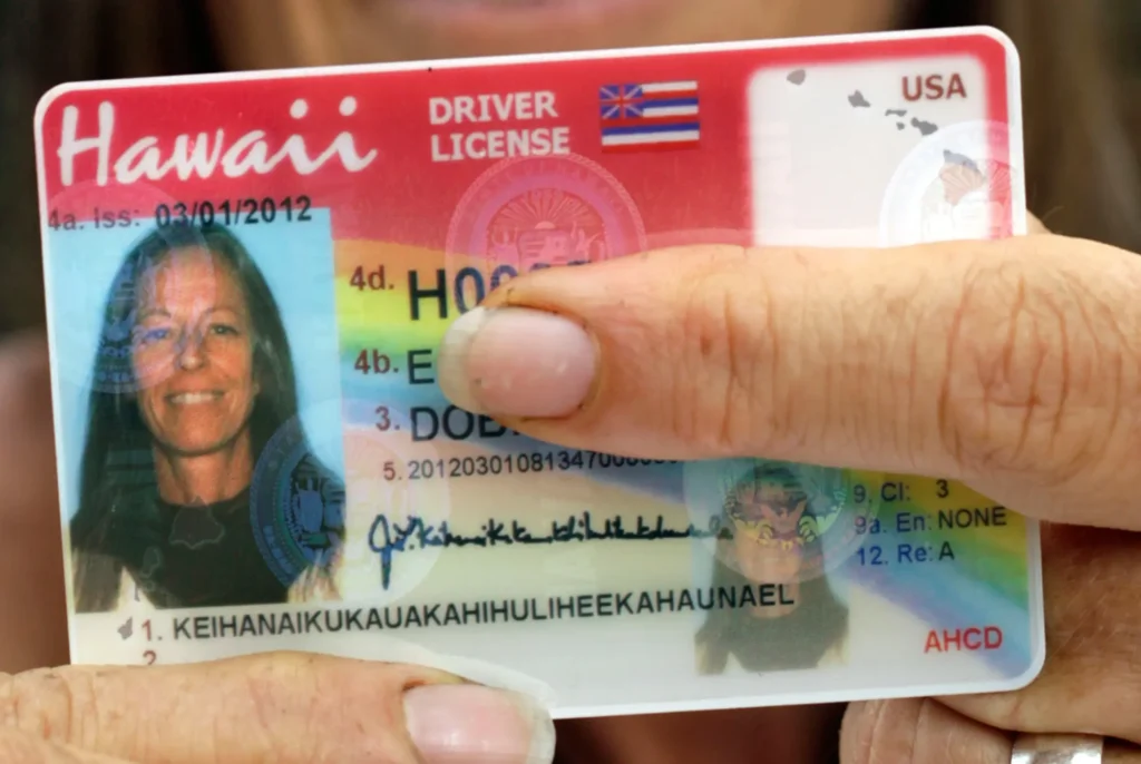 Buy Hawaii Driver license