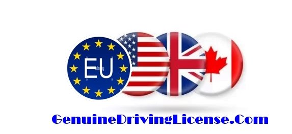 Genuine government-registered driver’s license – buy, renew, replace, or exchange foreign license – REAL ID and enhanced license options – suspended license reinstatement – authentic, legal, and verifiable Class B licenses for USA, Canada, and Europe – secure 5-day delivery from Genuinedrivinglicense.com