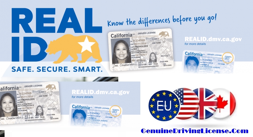 Genuine government-registered driver’s license – buy, renew, replace, or exchange foreign license – REAL ID and enhanced license options – suspended license reinstatement – authentic, legal, and verifiable Class B licenses for USA, Canada, and Europe – secure 5-day delivery from Genuinedrivinglicense.com