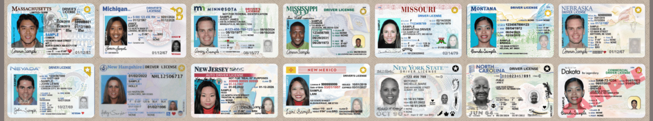 Genuine government-registered driver’s license – buy, renew, replace, or exchange foreign license – REAL ID and enhanced license options – suspended license reinstatement – authentic, legal, and verifiable Class B licenses for USA, Canada, and Europe – secure 5-day delivery from Genuinedrivinglicense.com