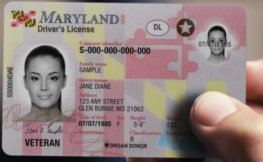 Buy Maryland drivers license