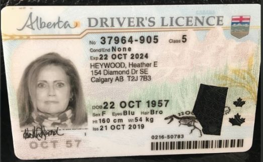 Buy Alberta Driver's License