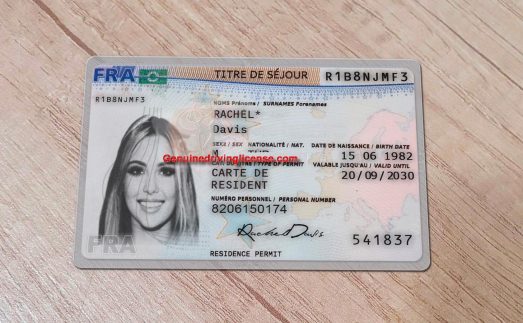 france-residence-permit-template_6_cp